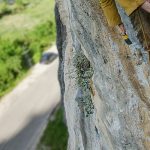Mastering The Summit: A Comprehensive Climbing Guide