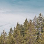 Alpine Odyssey: Guided Tours For The Adventure-Driven