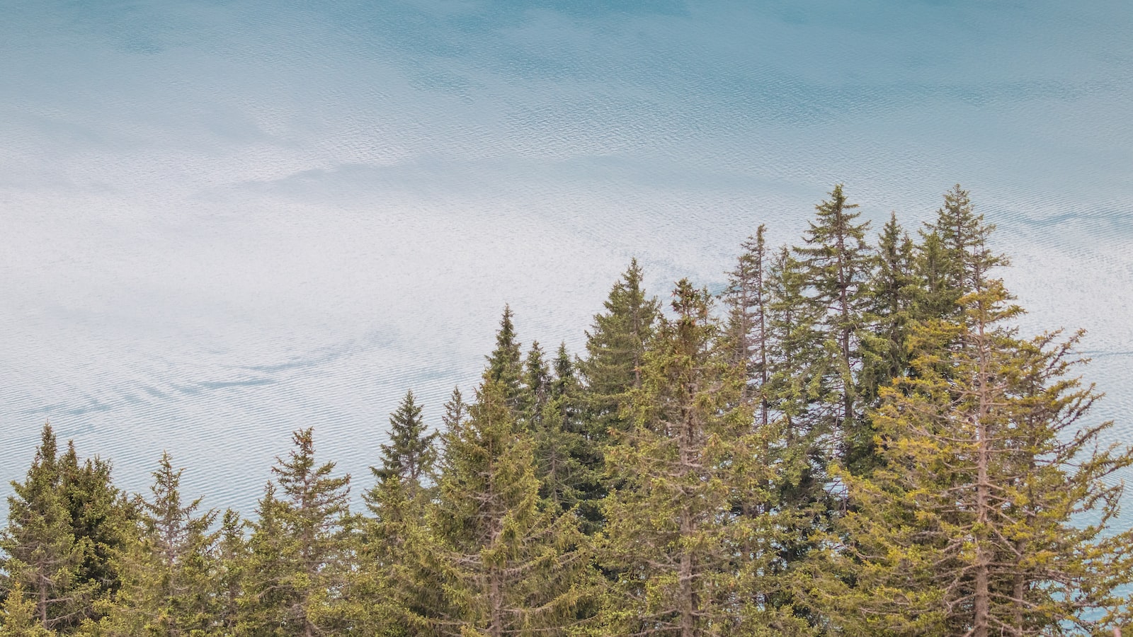 Alpine Odyssey: Guided Tours For The Adventure-Driven