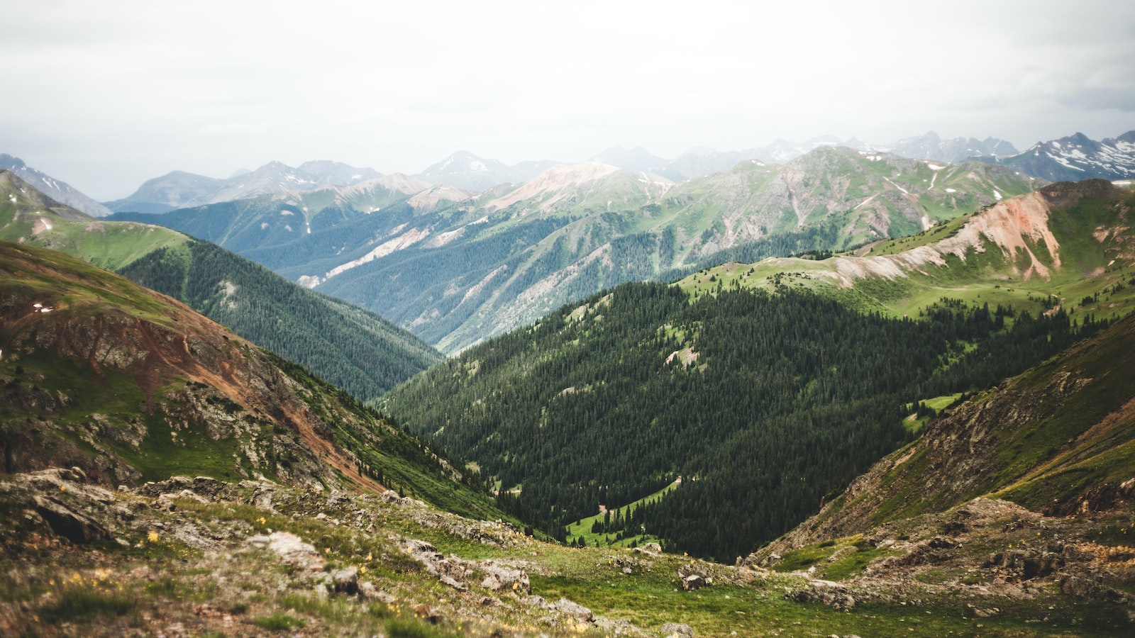Alpine Almanac: Navigating Peaks With Climbing Wisdom